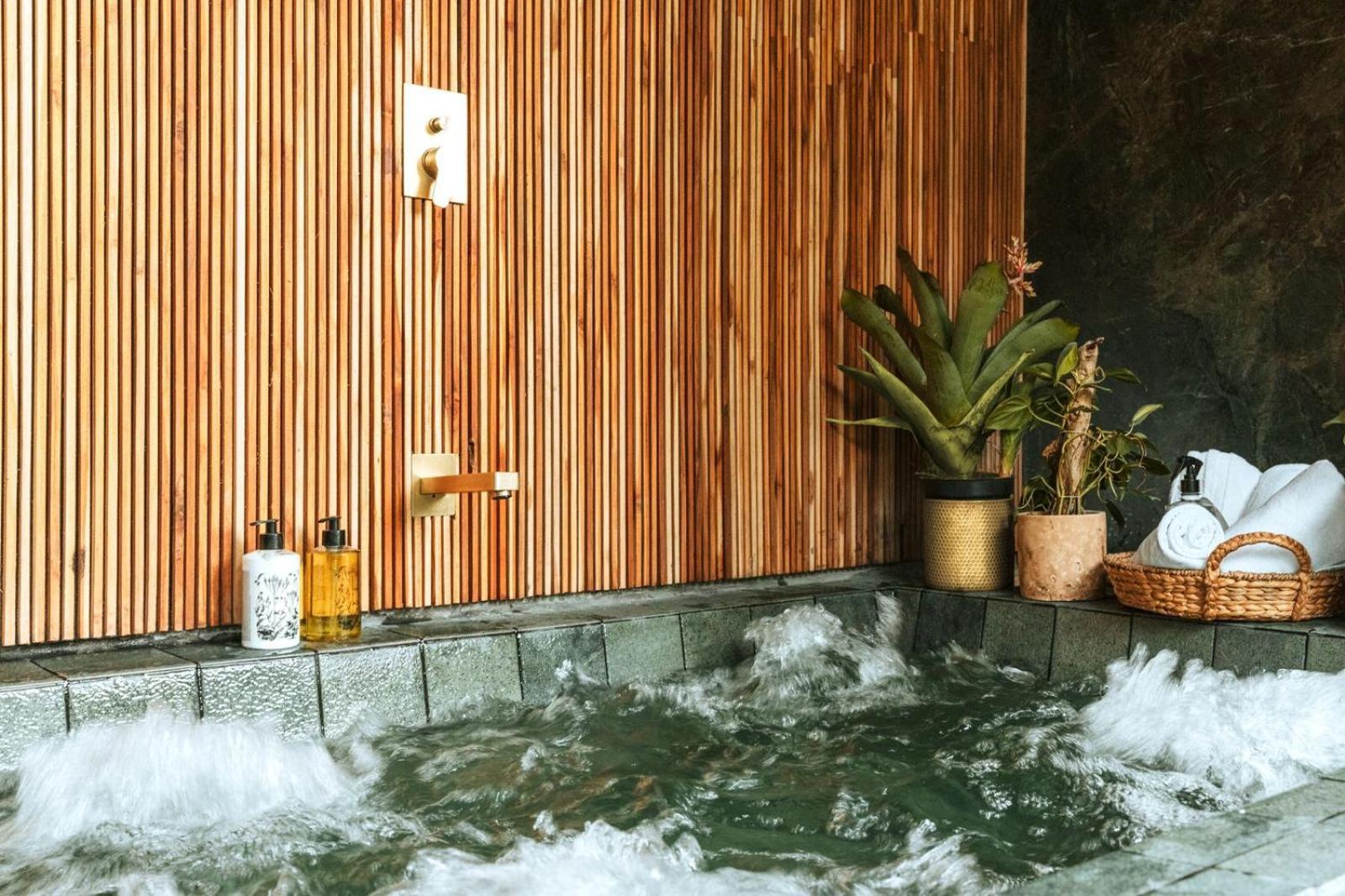 Selvario 36 Hotel Medellin Bagian luar foto
